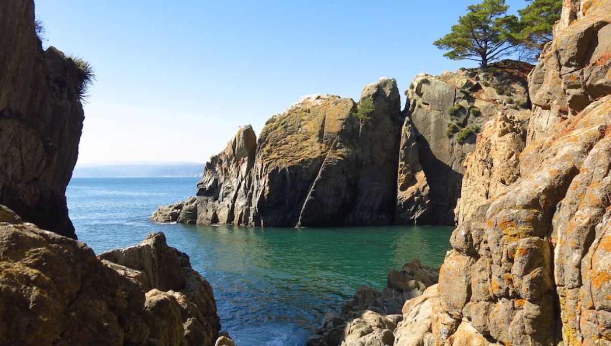 La ciudad chilena que es ideal para ir de shopping y disfrutar la playa