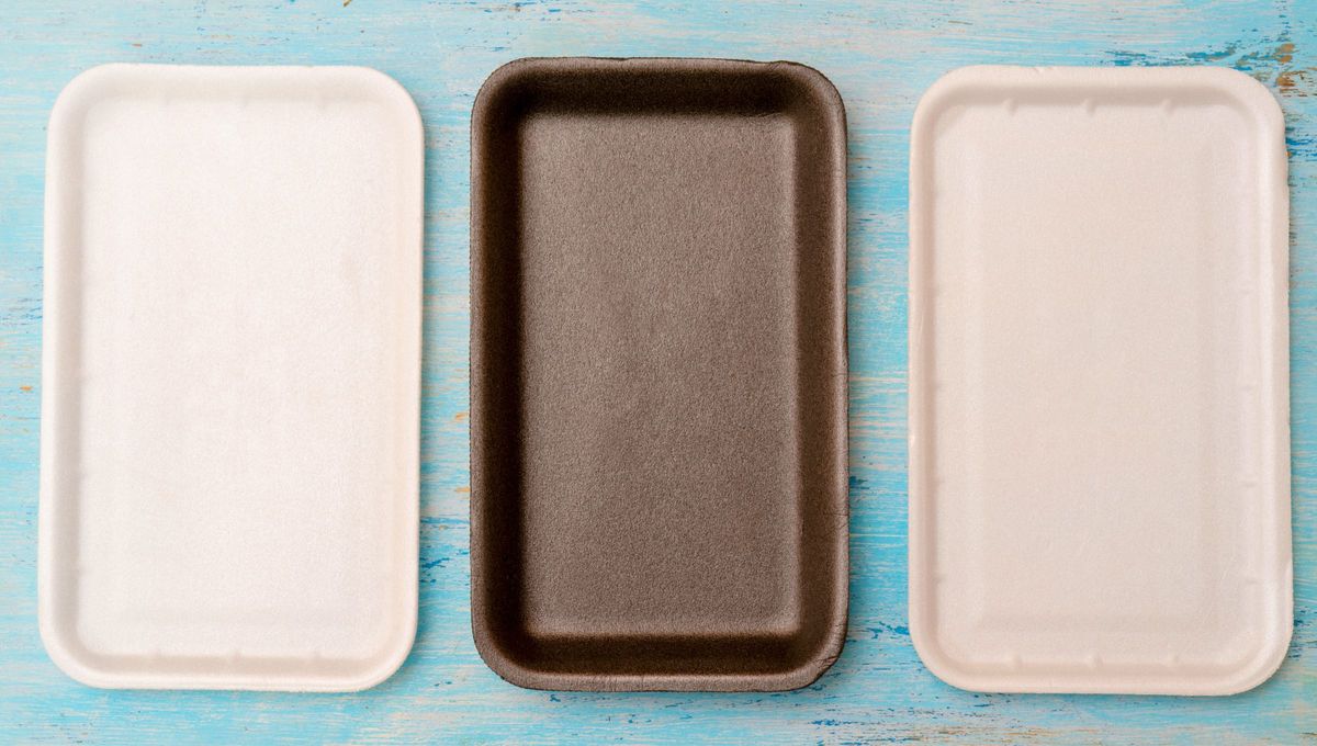 Si tienes una bandeja de Telgopor vacía tienes un tesoro navideño: crea un árbol de navidad