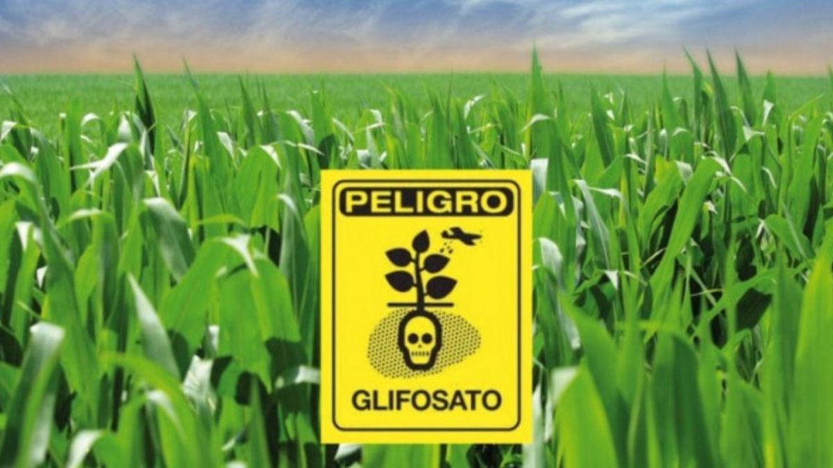 (Foto: CEDOC) (Foto: CEDOC)