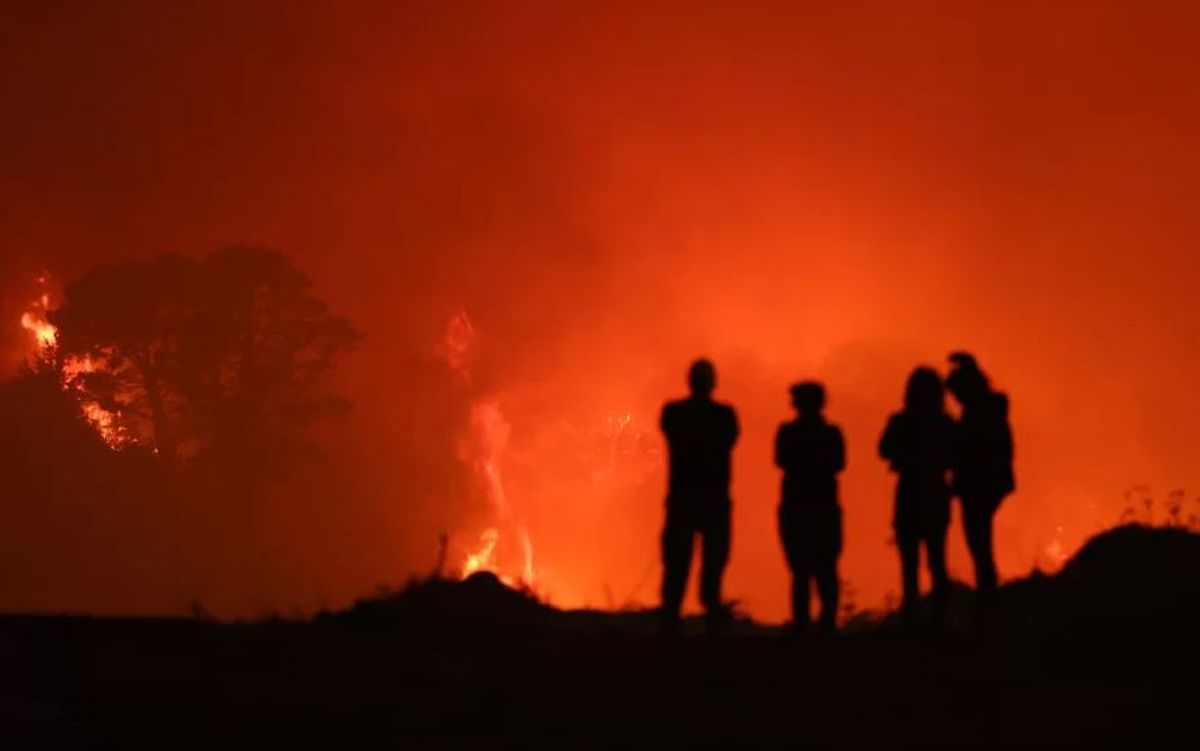 Los incendios se desataron en la regi&oacute;n del Biob&iacute;o.