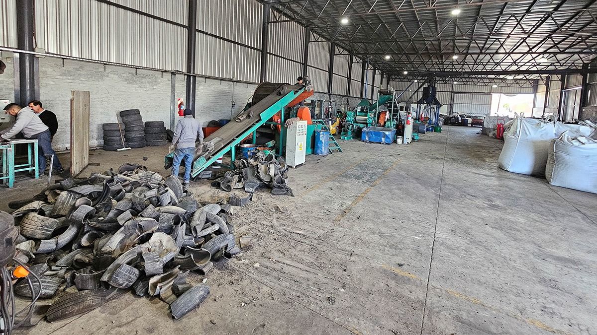 Los neumáticos pasan por una guillotina, en donde se cortan en pedazos. Los neumáticos pasan por una guillotina, en donde se cortan en pedazos.
