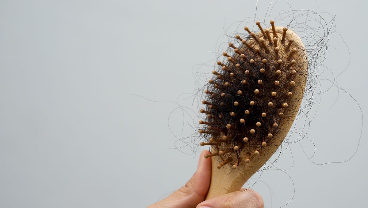 Si pierdes mucha cantidad de pelo entre marzo y abril, debes saber que es normal. Si pierdes mucha cantidad de pelo entre marzo y abril, debes saber que es normal. 