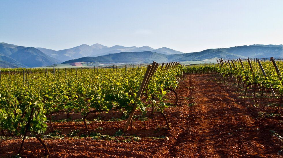 El Fondo Solidario Agrícola se pagará a partir del 2 de septiembre