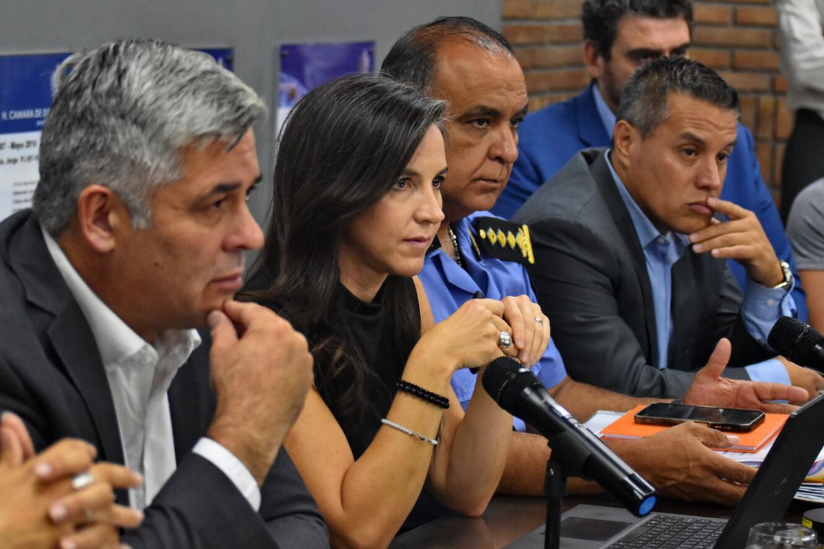 Se presenta el informe anual de la Bicameral de Seguridad.