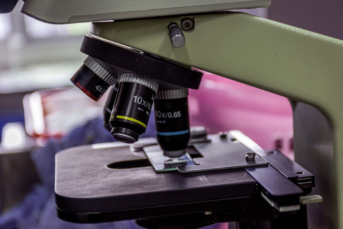 El descubrimiento de 2020 fue el puntapié para determinar algunas de las posibles causas de una nueva pandemia. El descubrimiento de 2020 fue el puntapié para determinar algunas de las posibles causas de una nueva pandemia.