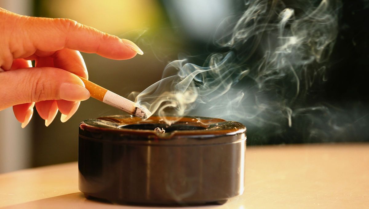 El olor a cogarrillo se impregna en la ropa y la casa. Para ello hay una planta ideal para hogar con fumadores.