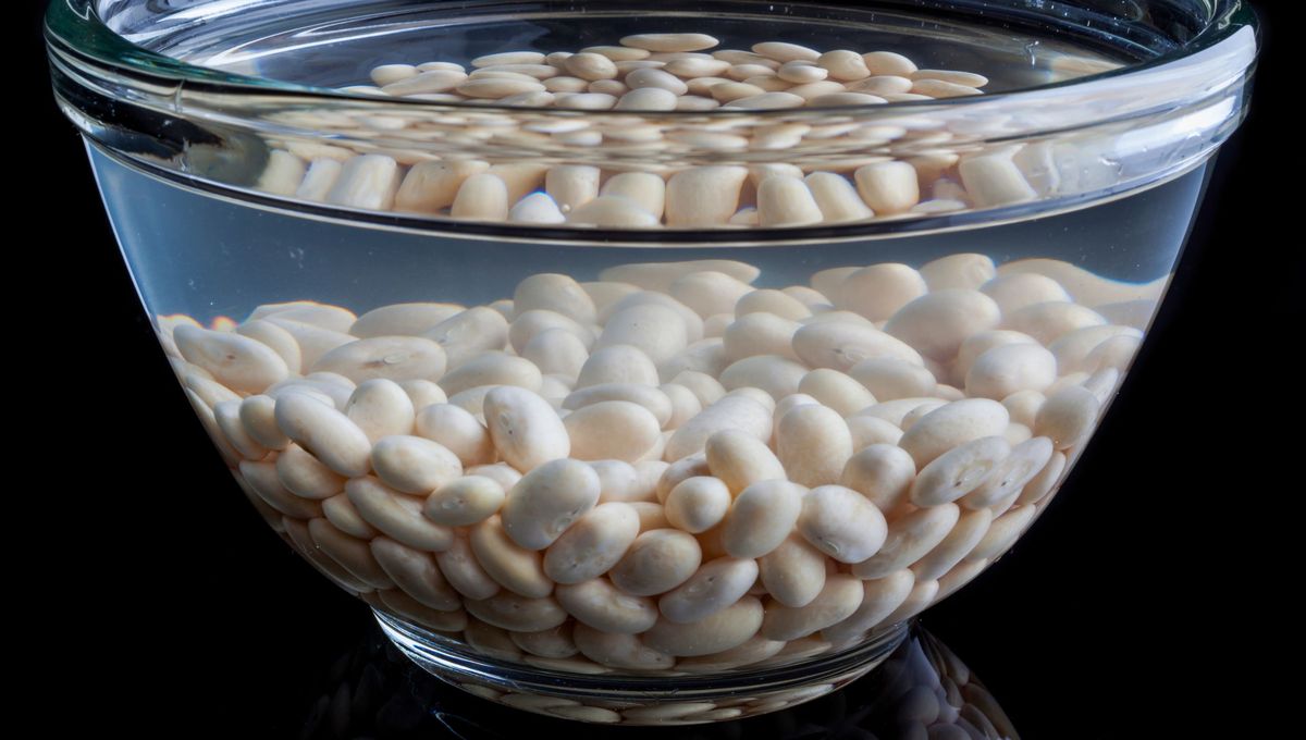 Porotos, lentejas y garbanzos siempre se tienen que remojar antes de cocinarlos. Porotos, lentejas y garbanzos siempre se tienen que remojar antes de cocinarlos. 