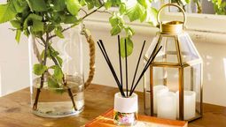 Crea tu propio ambientador casero con un aroma delicioso y por muy poco dinero con estos sencillos pasos. Crea tu propio ambientador casero con un aroma delicioso y por muy poco dinero con estos sencillos pasos.