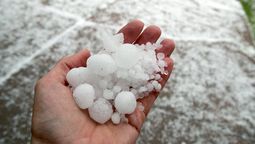 Evitá salir durante un alerta vigente. Evitá salir durante un alerta vigente.