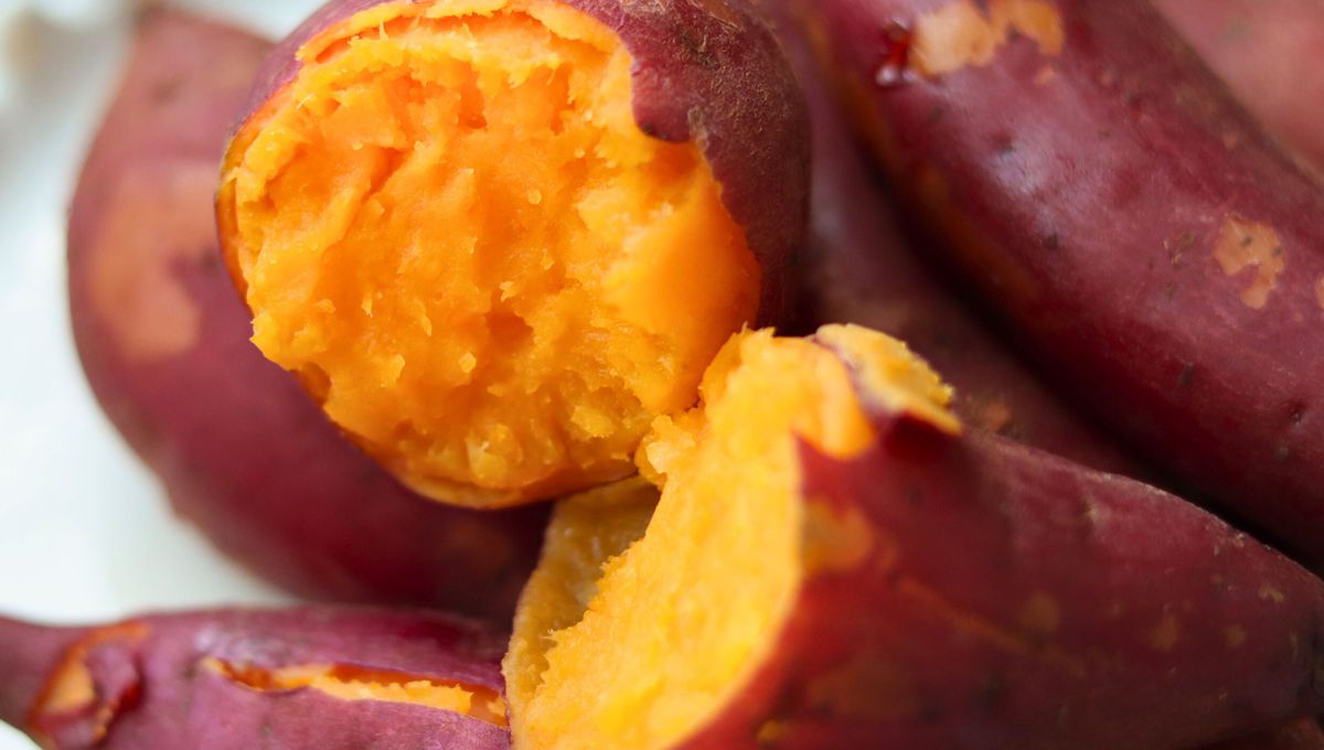 ¿Son lo mismo batata y boniato? 
