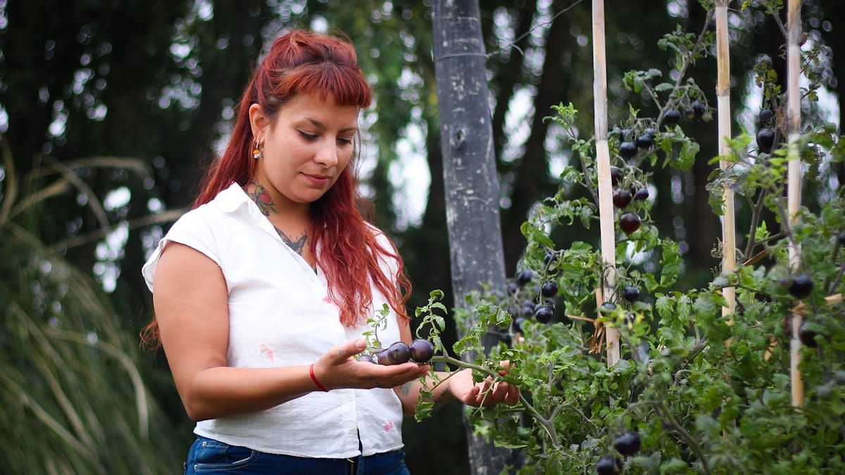Según contó Agustina, en Riccitelli se va poco a la feria, todo lo que allí se cultiva va a la preparación de los platos. Según contó Agustina, en Riccitelli se va poco a la feria, todo lo que allí se cultiva va a la preparación de los platos.