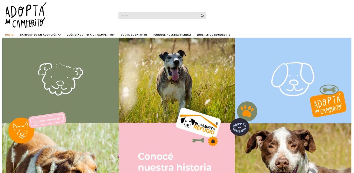 AdoptaUnCamperito es la página en donde podes encontrar a tu próximo mejor amigo.