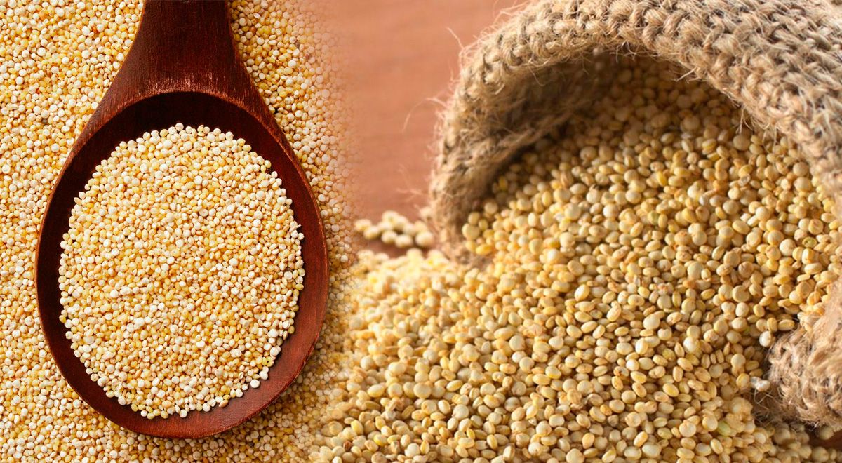 Beneficio de comer quinoa. Beneficio de comer quinoa.