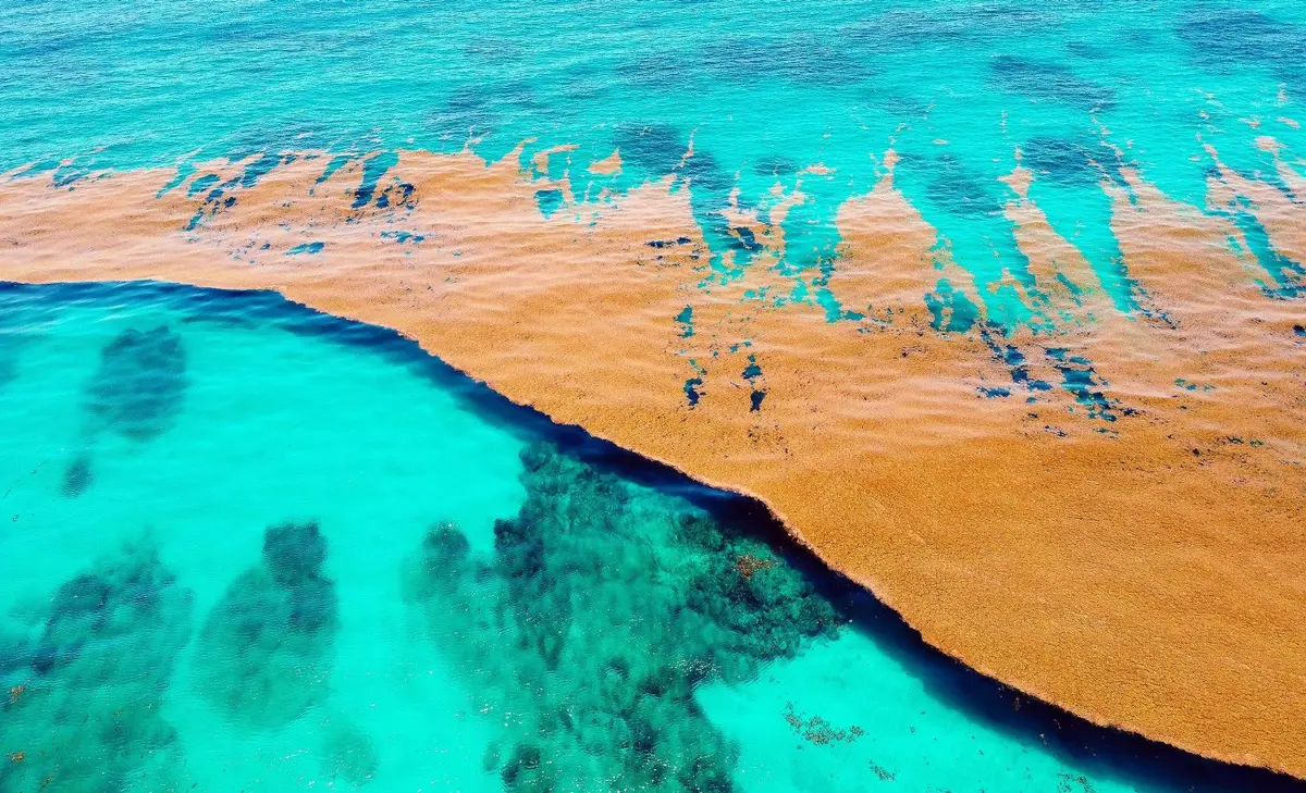 Este mar se encuentra a unos 950 kilómetros al este de Florida. Imagen: Earth