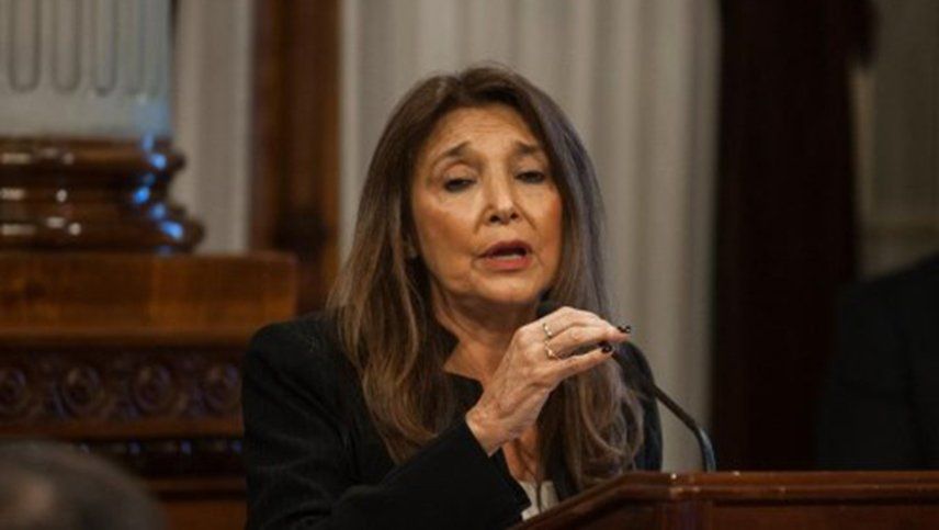 En vivo: La Defensora de los derechos de la niñez expone en Diputados