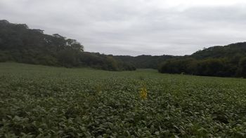 Encontraron en una finca el cuerpo de joven que estaba desaparecido Encontraron en una finca el cuerpo de joven que estaba desaparecido