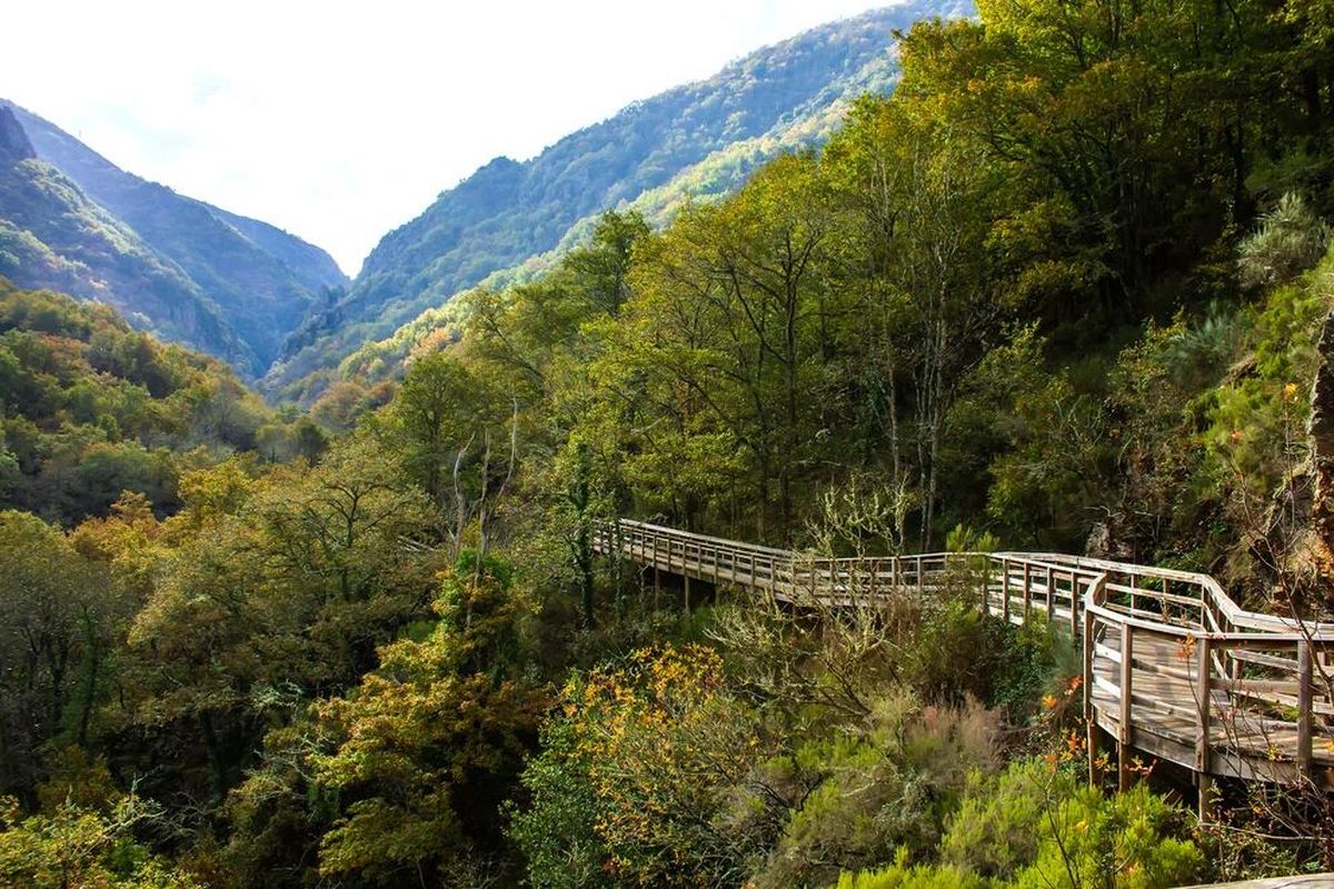 Ribeira Sacra. Ribeira Sacra.