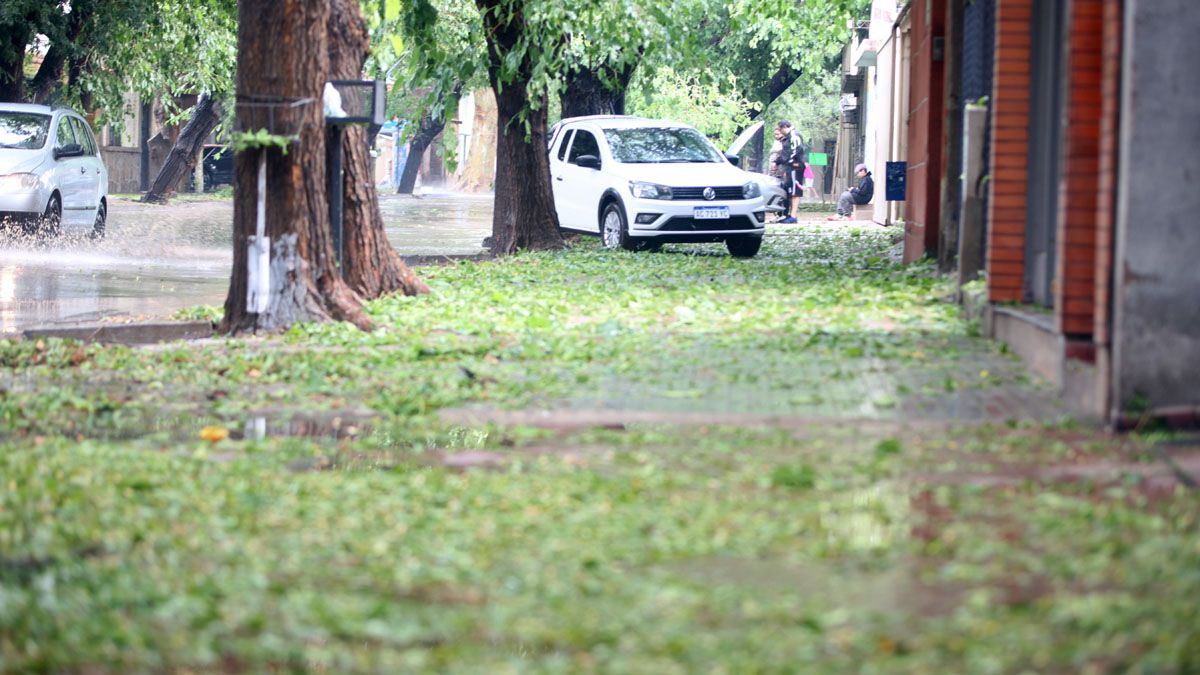 La tormento provocó importantes destrozos en diferentes departamentos del Gran Mendoza. Hay alerta sobre posibiles cortes de agua.