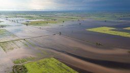 Los peligros del monocultivo