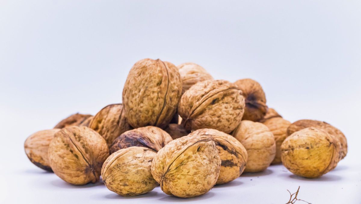 Al ser rica en antioxidantes, y al contener nutrientes tales como el fósforo, nitrógeno y potasio, la cáscara de la nuez se convierte como una alternativa ideal para el fuego del asado Al ser rica en antioxidantes, y al contener nutrientes tales como el fósforo, nitrógeno y potasio, la cáscara de la nuez se convierte como una alternativa ideal para el fuego del asado