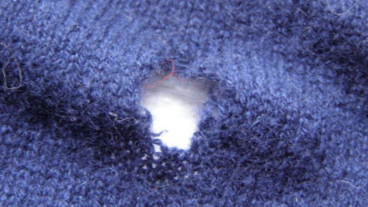 Trucos caseros. Hay métodos naturales 100% efectivos para eliminar a las polillas del armario.