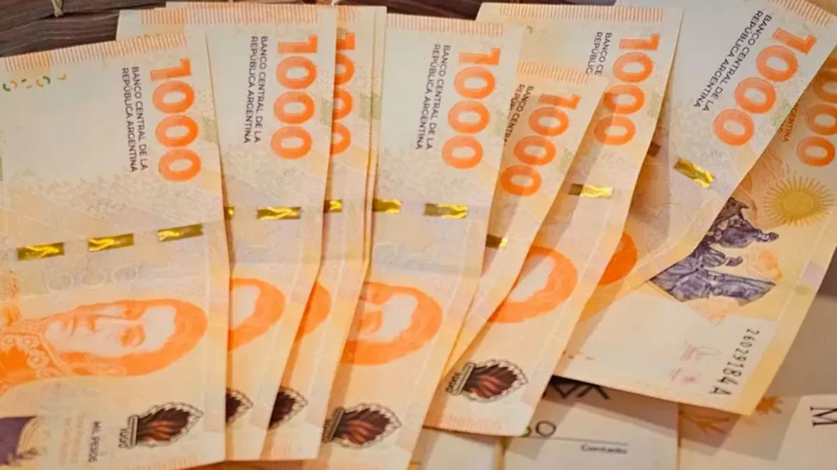 ANSES Milei sorprendió con el MONTO OFICIAL del aguinaldo de diciembre