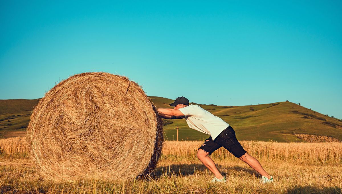 El griego está lleno de conceptos y palabras profundas El griego está lleno de conceptos y palabras profundas 