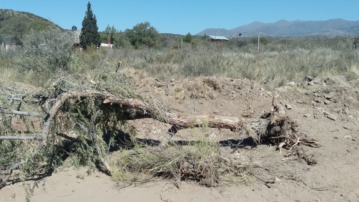 Instalaron un centro de monitero para medir la degradación del suelo y la vegetación en el piedemonte