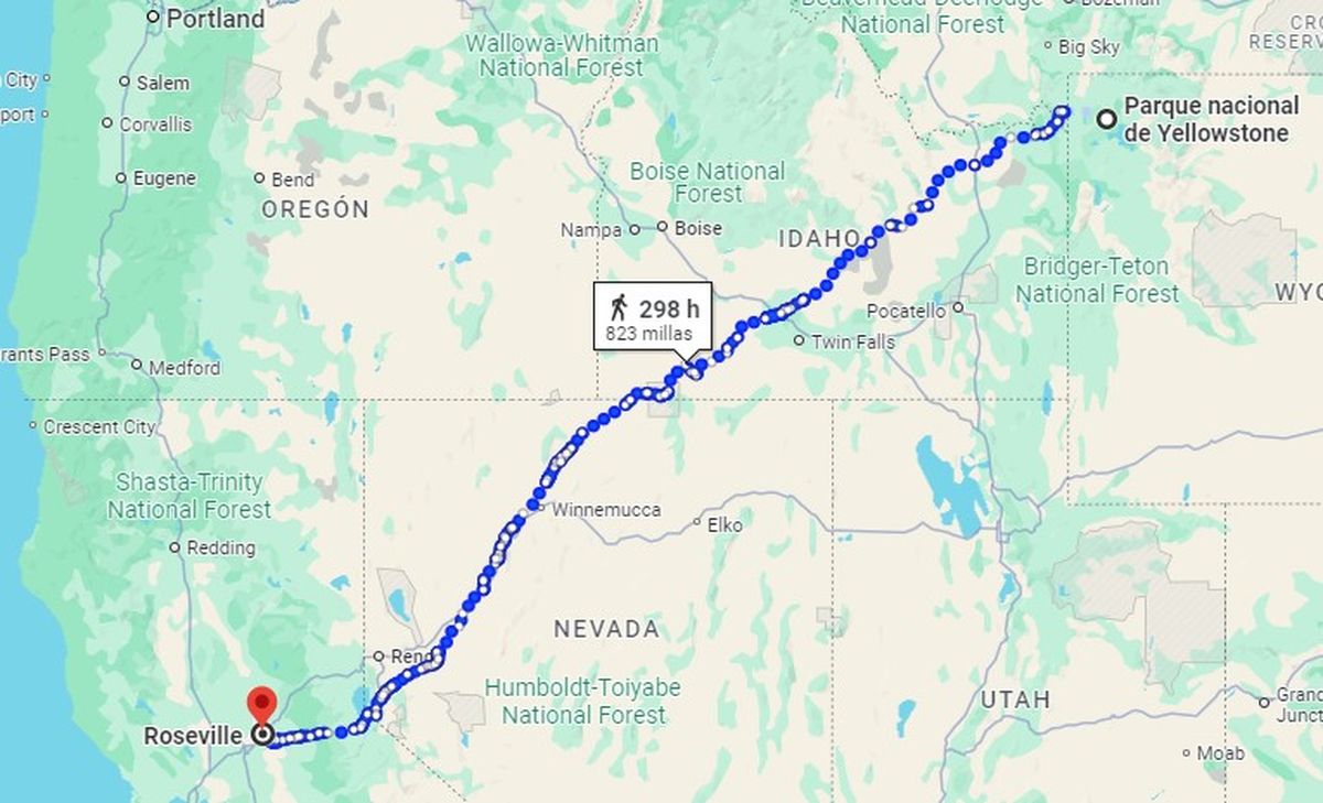 Según Google Maps, una persona demoraría 12 días caminando sin parar, para hacer el recorrido que hizo el felino Según Google Maps, una persona demoraría 12 días caminando sin parar, para hacer el recorrido que hizo el felino