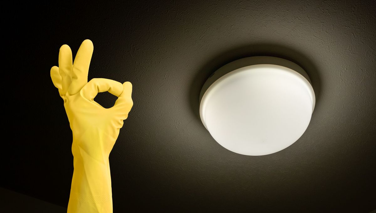 Cómo limpiar el plafón de la luz y evitar que se llene de bichos