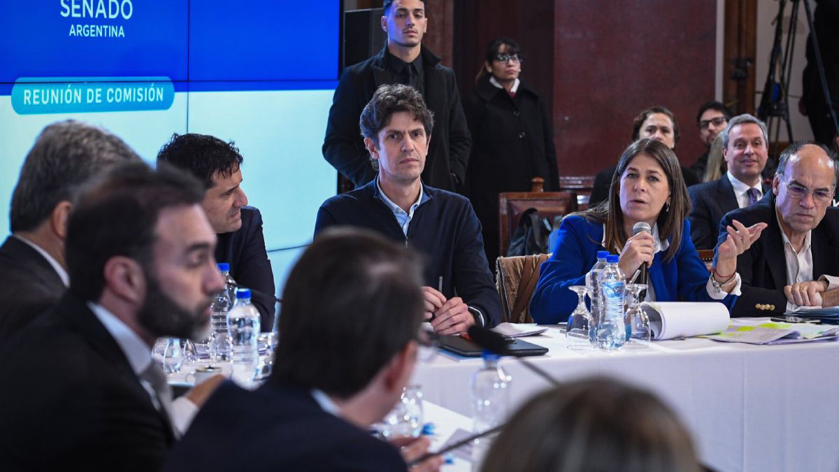 El Senado renovará un tercio de sus bancas. Javier Milei está al salto para que la Libertad Avanza se quede con las que pone en juego el peronismo. El Senado renovará un tercio de sus bancas. Javier Milei está al salto para que la Libertad Avanza se quede con las que pone en juego el peronismo.