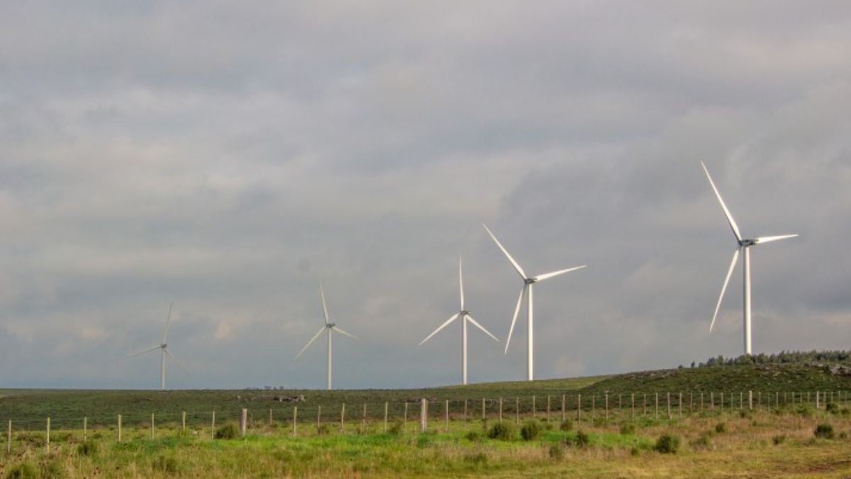 Turbinas eólicas a lo largo de la Ruta Nacional 5, una de las carreteras más importantes de Uruguay, que pasa cerca de Tambores. La planta de hidrógeno verde prevista dependerá de energía eólica y solar para abastecer sus procesos (Foto: Ramiro Barreiro / Diálogo Chino) Turbinas eólicas a lo largo de la Ruta Nacional 5, una de las carreteras más importantes de Uruguay, que pasa cerca de Tambores. La planta de hidrógeno verde prevista dependerá de energía eólica y solar para abastecer sus procesos (Foto: Ramiro Barreiro / Diálogo Chino)