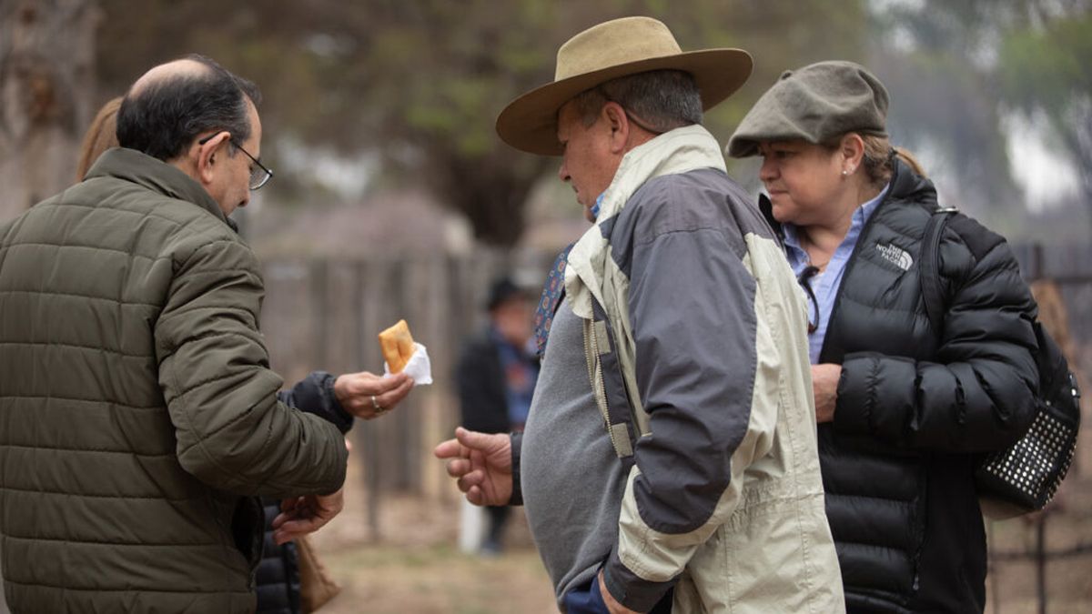 Infaltables tortas fritas. O sopaipillas.
