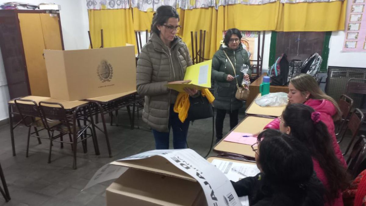 Tras las PASO del domingo anterior se vienen las generales.