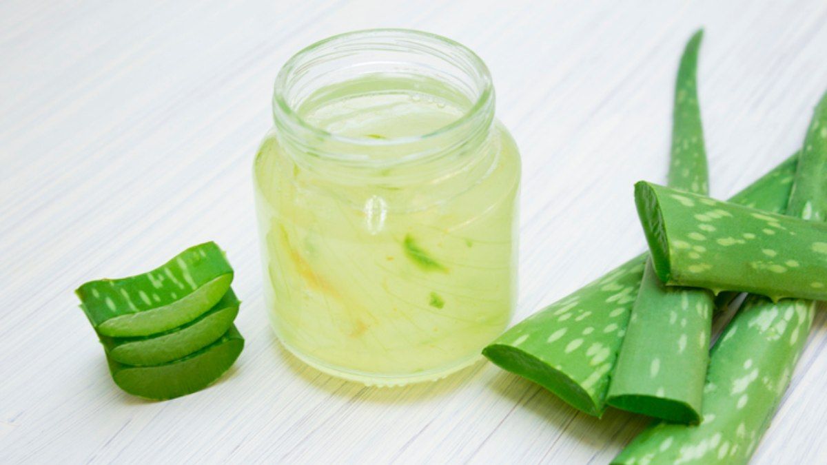 Colocar aloe vera en el shampoo: por qué recomiendan hacerlo y para qué sirve Colocar aloe vera en el shampoo: por qué recomiendan hacerlo y para qué sirve