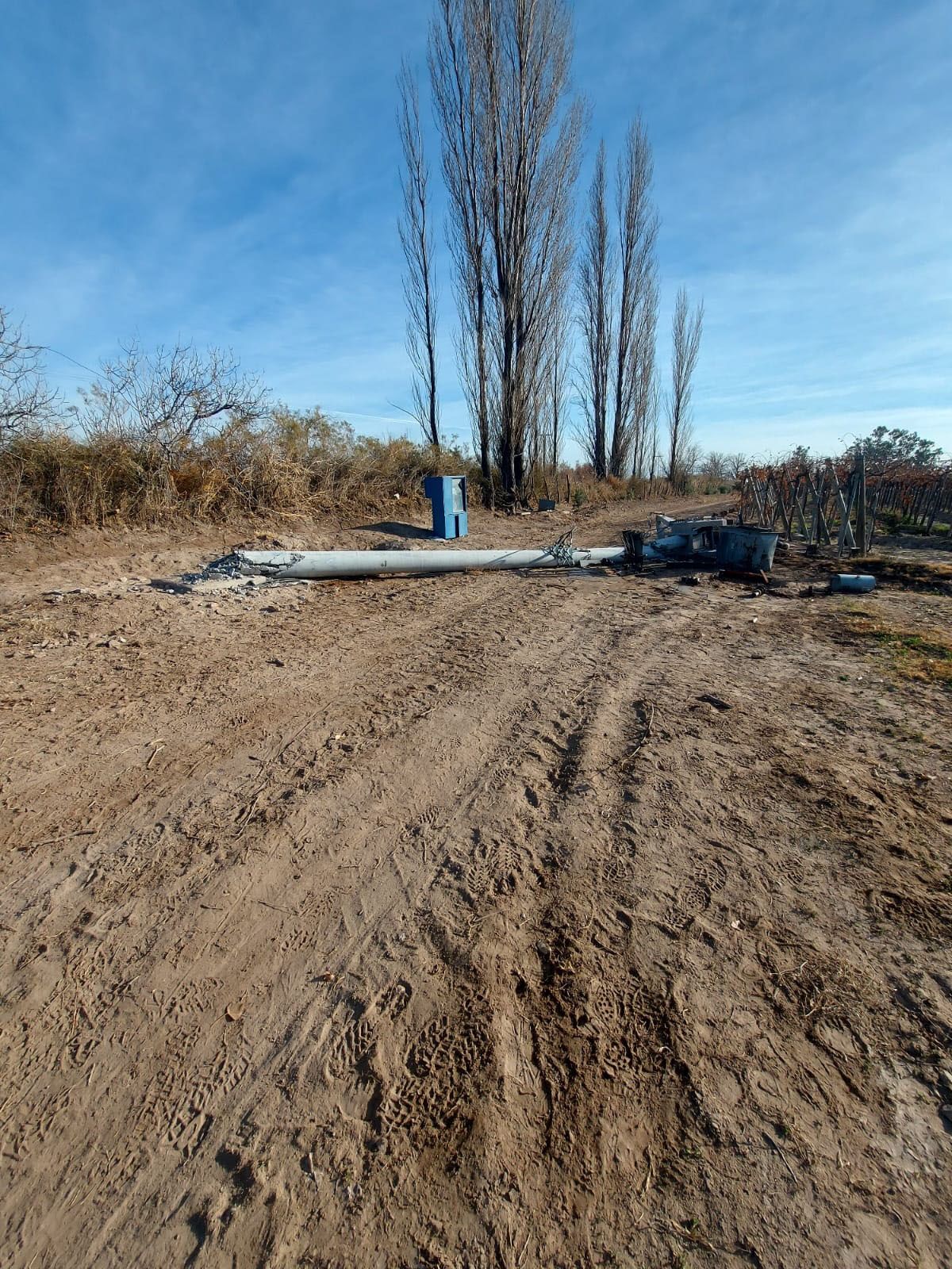 Los delincuentes sustrajeron tres bobinas de cobre del transformador que tiraron al suelo. Los delincuentes sustrajeron tres bobinas de cobre del transformador que tiraron al suelo.