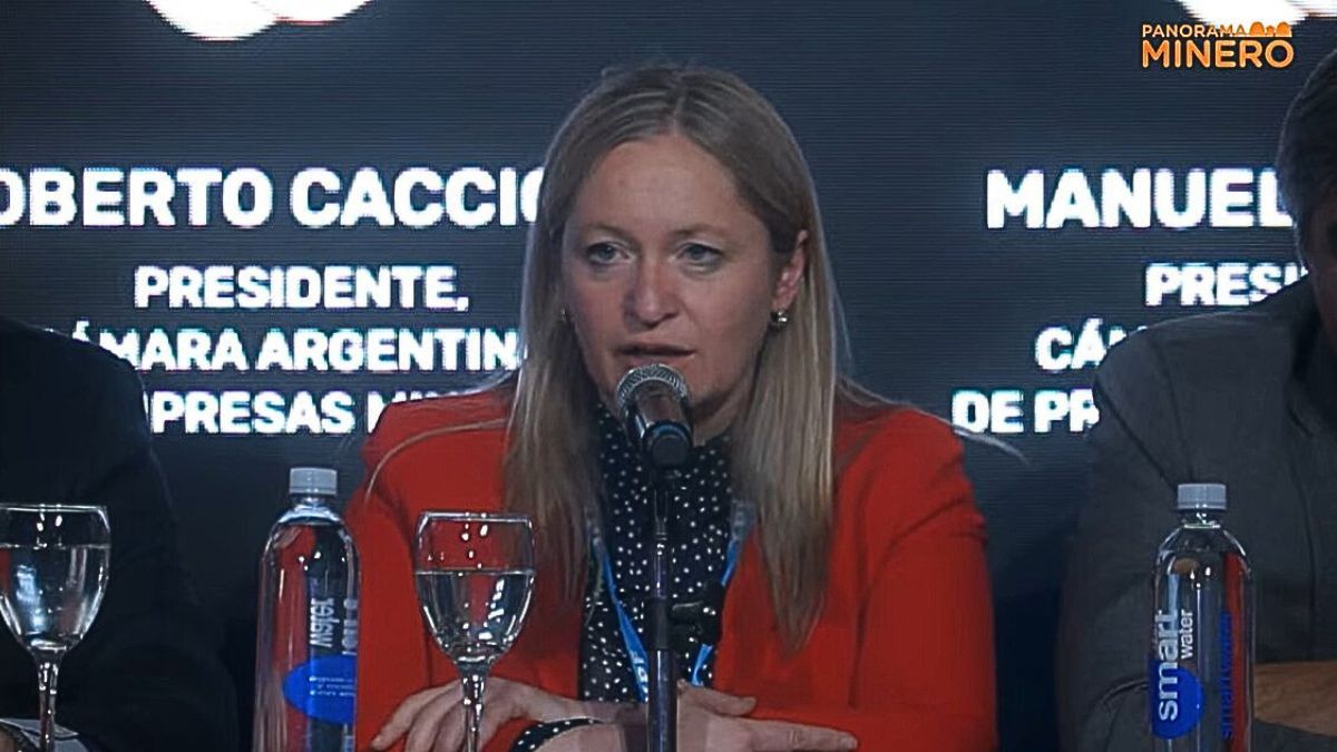 Hebe Casado disertó acerca de los avances que ha tenido la minería en Mendoza en el último año, y la experiencia de 
