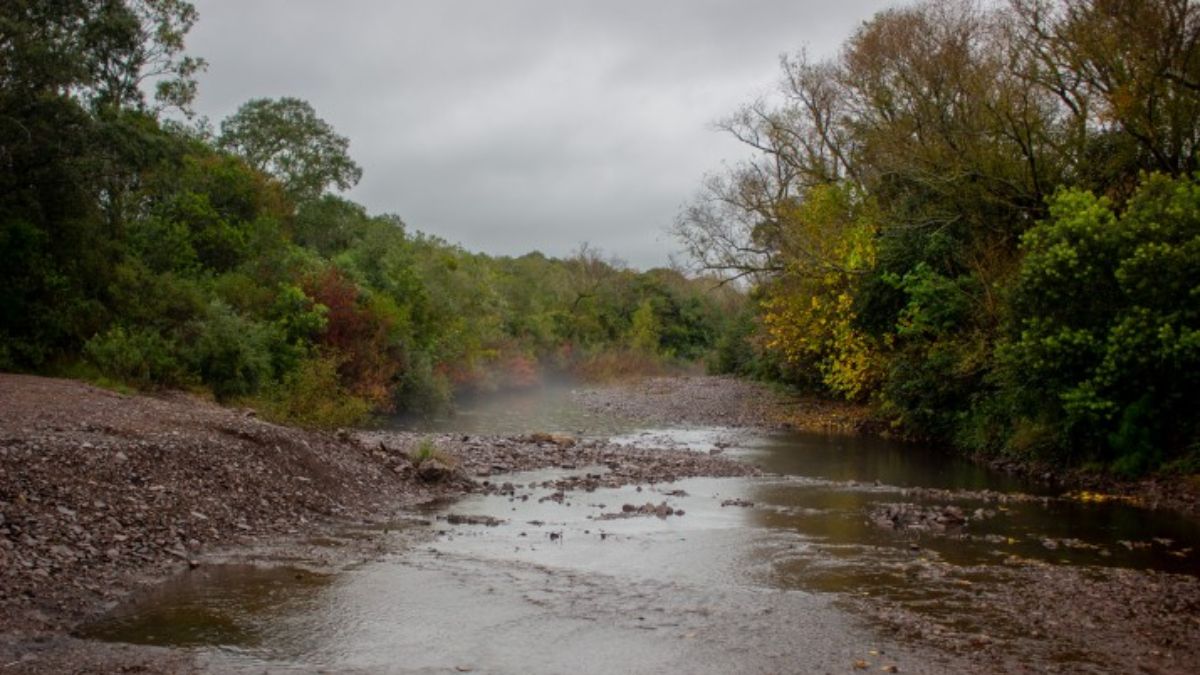 El arroyo Jabonería, un curso de agua que atraviesa Tambores y los pueblos de Valle Edén y Piedra Sola. Los especialistas temen que la planta de hidrógeno altere el ciclo natural del agua en la región (Foto: Ramiro Barreiro / Diálogo Chino) El arroyo Jabonería, un curso de agua que atraviesa Tambores y los pueblos de Valle Edén y Piedra Sola. Los especialistas temen que la planta de hidrógeno altere el ciclo natural del agua en la región (Foto: Ramiro Barreiro / Diálogo Chino)