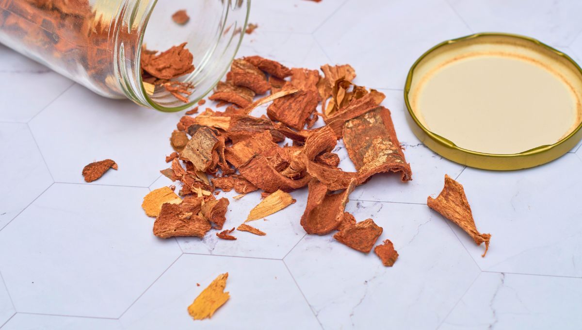 El cuachalalate, chalalate, coachalalate, cuachalala o volador es una antigua planta medicinal que se ha utilizado en México desde hace siglos. El cuachalalate, chalalate, coachalalate, cuachalala o volador es una antigua planta medicinal que se ha utilizado en México desde hace siglos.