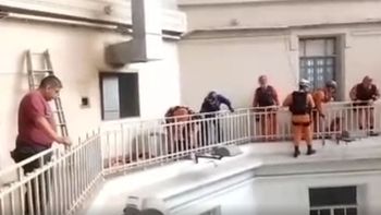 Video: un hombre se tiró desde un piso 11 y se salvó