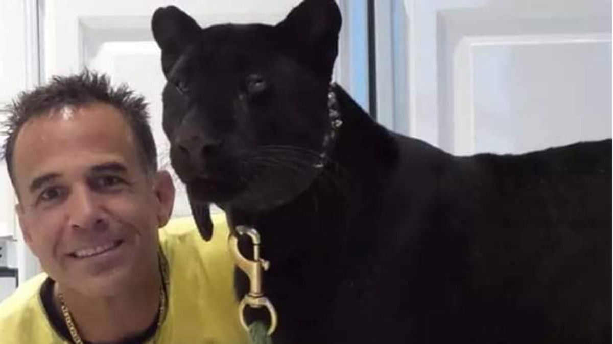 Michael Poggi vive en una casa de la ciudad de Davie, Florida, donde tiene un santuario de animales en peligro de extinsión, entre ellos el leopardo negro
