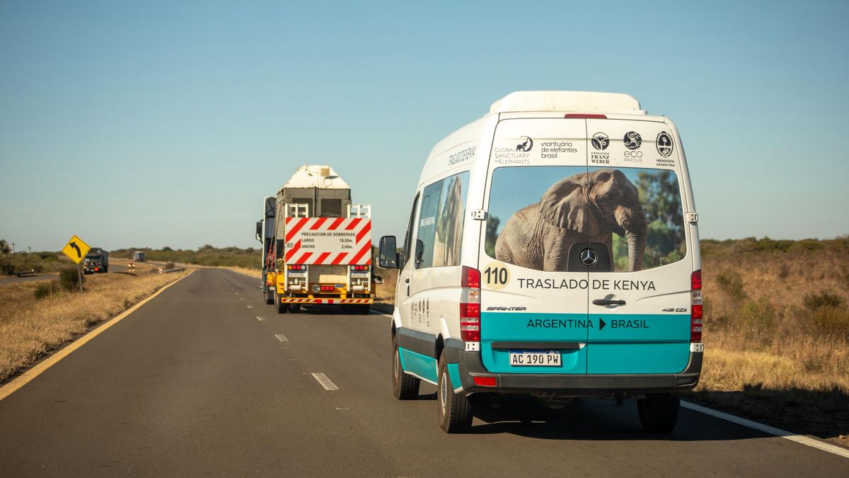 Kenya llegó a Brasil y se espera que el miércoles ingrese al santuario