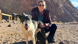 Cuando me encontré en la montaña trabajando para el área de Bienestar Animal después de todo lo que pasé, lloré de emoción, dijo Belén a Diario UNO: Cuando me encontré en la montaña trabajando para el área de Bienestar Animal después de todo lo que pasé, lloré de emoción, dijo Belén a Diario UNO: