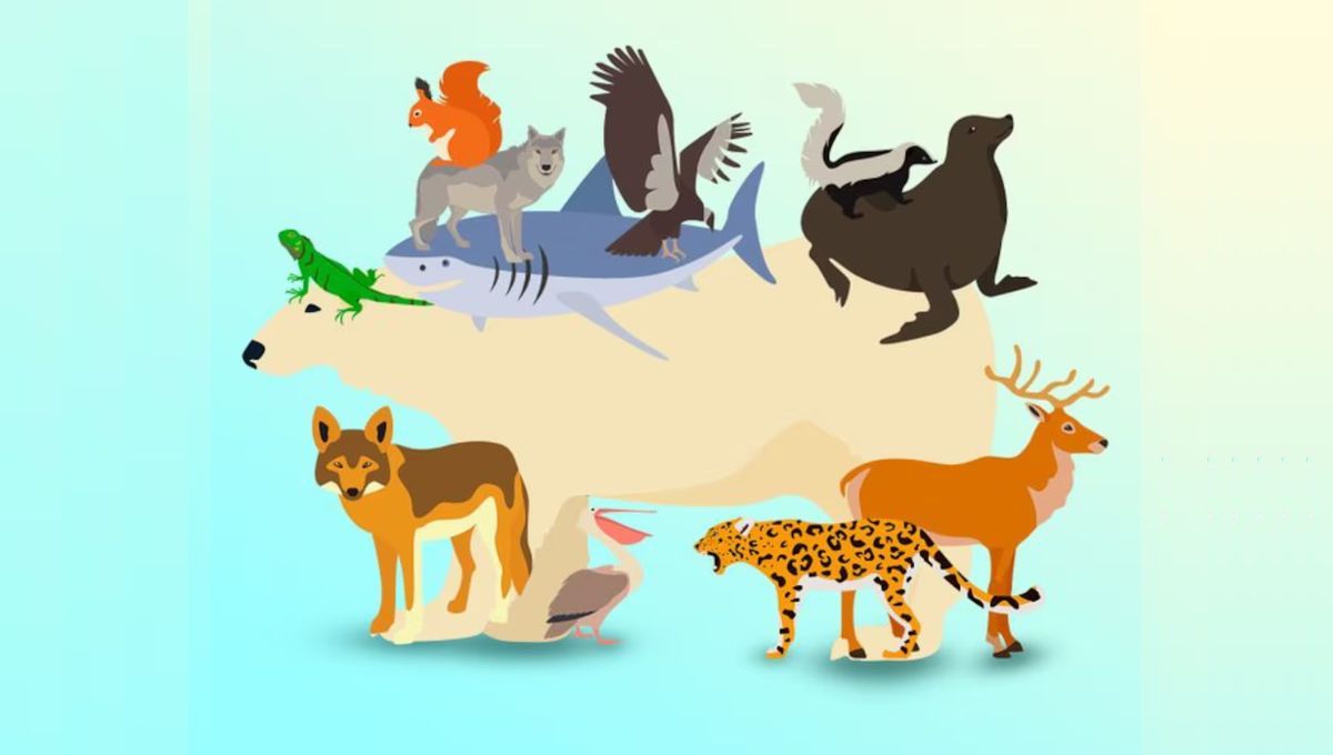 Desafío visual que pone a prueba tu mente Desafío visual que pone a prueba tu mente