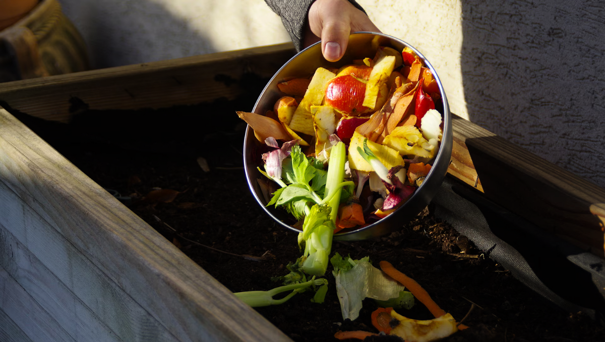 Lo ideal es que apliques el compost al césped apenas dos veces al año Lo ideal es que apliques el compost al césped apenas dos veces al año