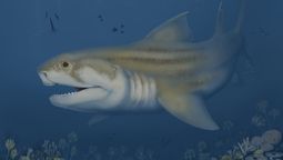 Este depredador ancestral sorprendió a los arqueólogos. Este depredador ancestral sorprendió a los arqueólogos.