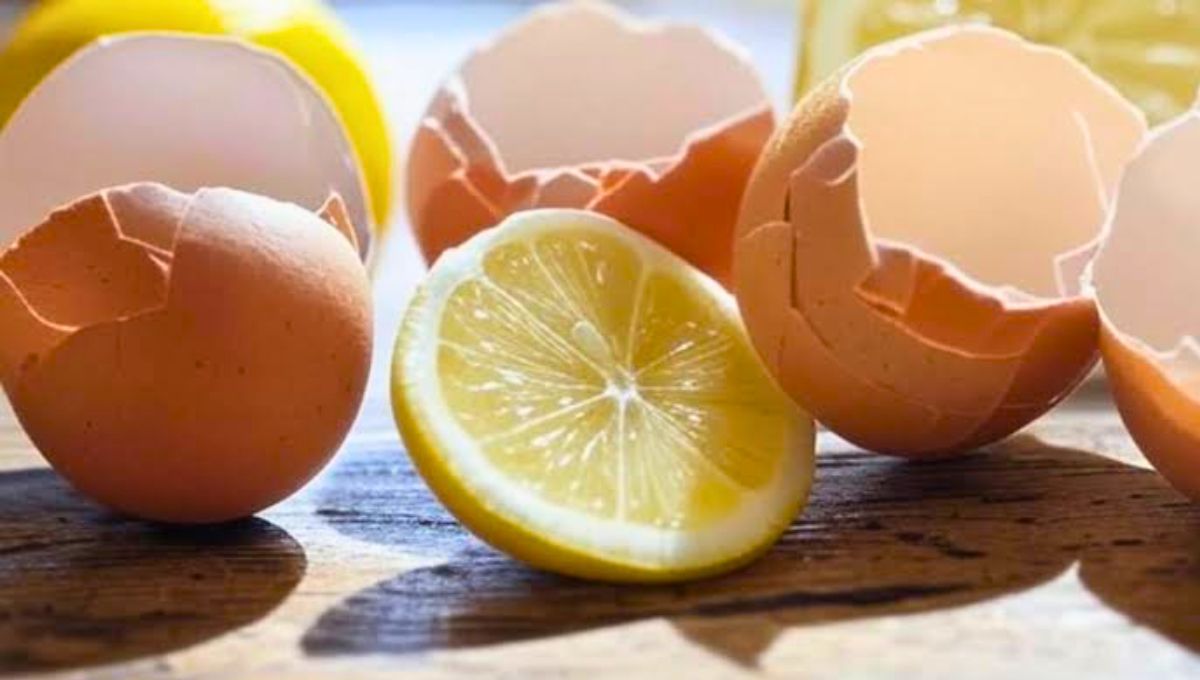 Este método garantiza un crecimiento saludable del árbol.&nbsp;