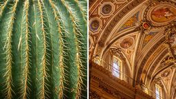 ¿Cuál es la catedral argentina hecha con jugo de cáctus?