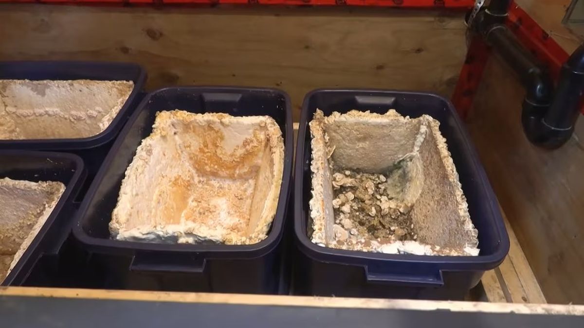 Este inodoro ecológico produce 600 litros de compost sólido y 2.000 litros de fertilizante líquido. Este inodoro ecológico produce 600 litros de compost sólido y 2.000 litros de fertilizante líquido.