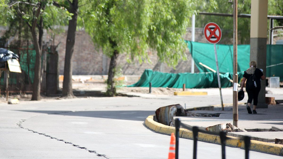 Los árboles se encontraban en la zona de la playa de estacionamiento del Lagomaggiore
